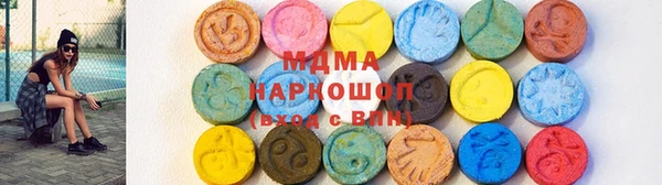 гидра Богородск