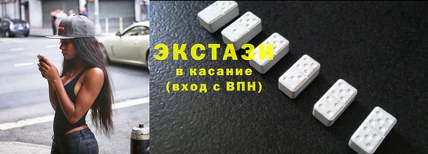 гидра Богородск