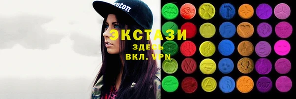 гидра Богородск