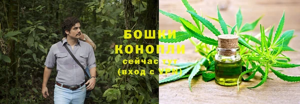 mdpv Богданович