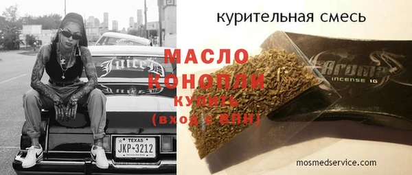 гидра Богородск