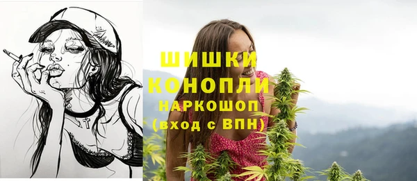 гидра Богородск