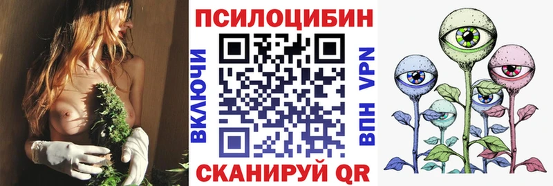 как найти закладки  мориарти состав  Псилоцибиновые грибы Psilocybe  Белоозёрский 